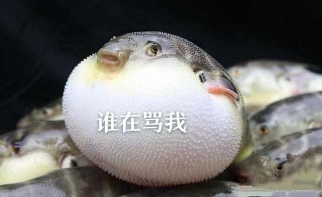 DƬ